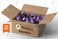 Набор капсул Skladkofe DG Espresso (Euro Caps) 96 шт